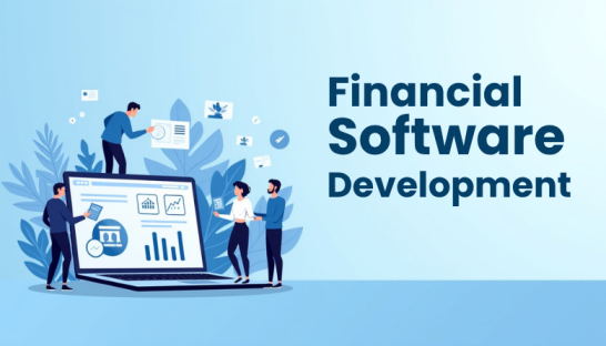 Financial Software Development Company